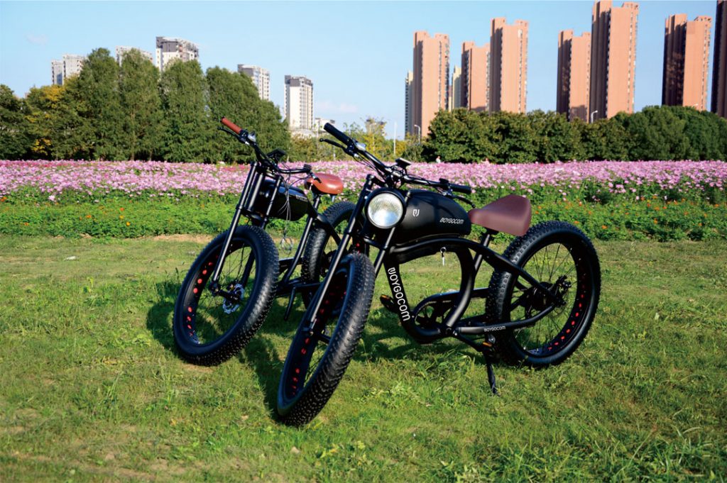 European Green Deal Leads the Electric Bicycle Trend, Promoting Carbon Neutrality Vision - Newbott