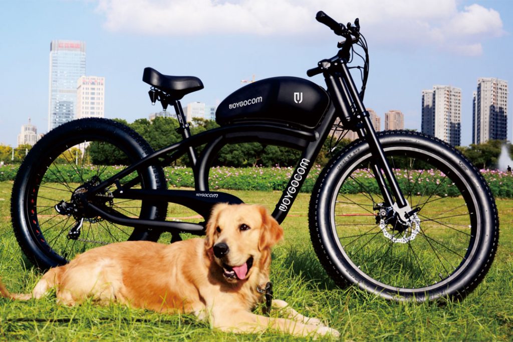 Electric Bicycles Convenient Transportation with Potential Risks - Analyzing Short Circuit Incidents - Newbott